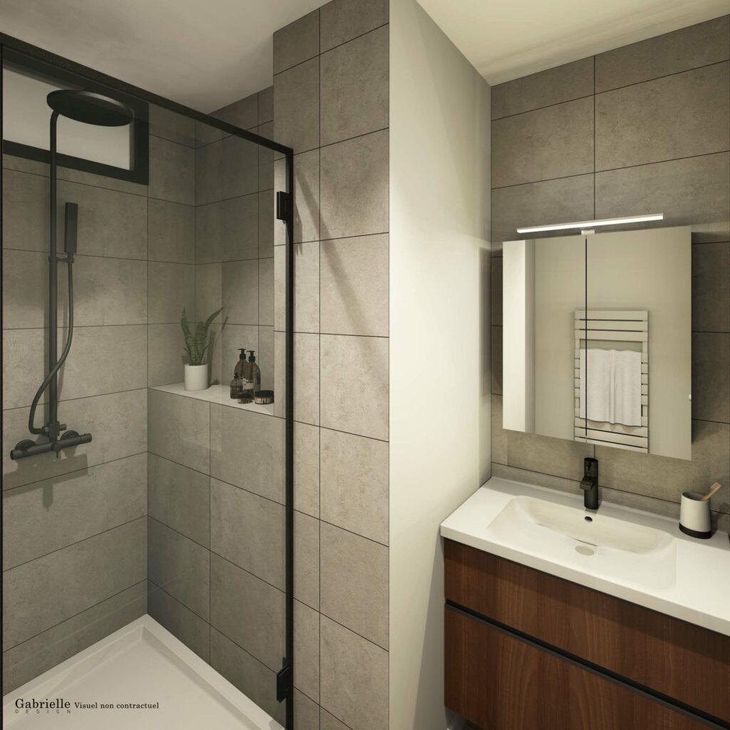 Salle de bain, faience 60x30cm gris pare douche noire meuble vasque noyer colonne de douche noire armoire miroir